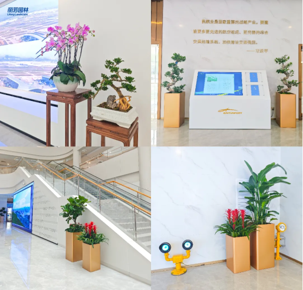 日博集团·(中国区)官方网站